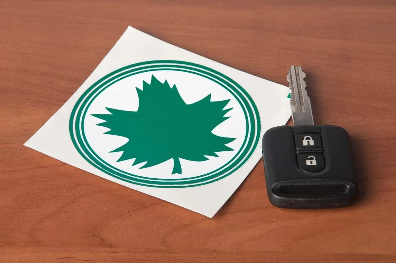 Od kiedy wchodzi zielony listek dla kierowców i co warto wiedzieć